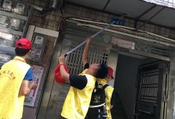 性志愿者在线观看,揭秘网络性交易背后的真实世界